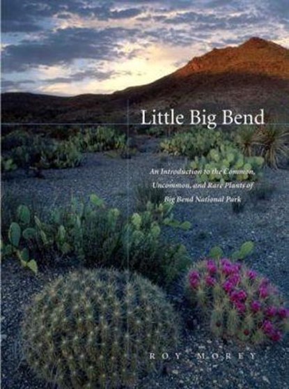 Little Big Bend, Roy Morey - Paperback - 9780896726130