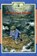 The Great Storm, Lisa Waller Rogers - Paperback - 9780896727205