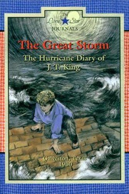 The Great Storm, Lisa Waller Rogers - Paperback - 9780896727205