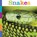 Snakes, Kate Riggs - Paperback - 9780898128888