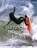 Surfing Tropical Beats, Sam Bleakley - Paperback - 9780906720851