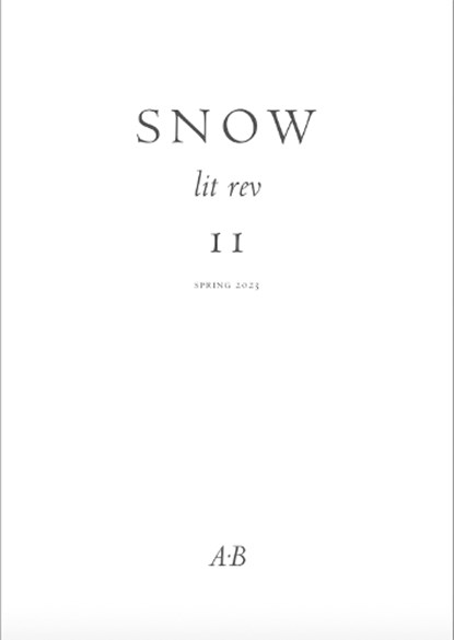 Snow Lit Rev, No. 11, Anthony Barnett - Paperback - 9780907954644