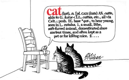 Cat, B. Kliban - Paperback - 9780911104547