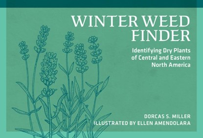 Winter Weed Finder, Dorcas S. Miller - Paperback - 9780912550534