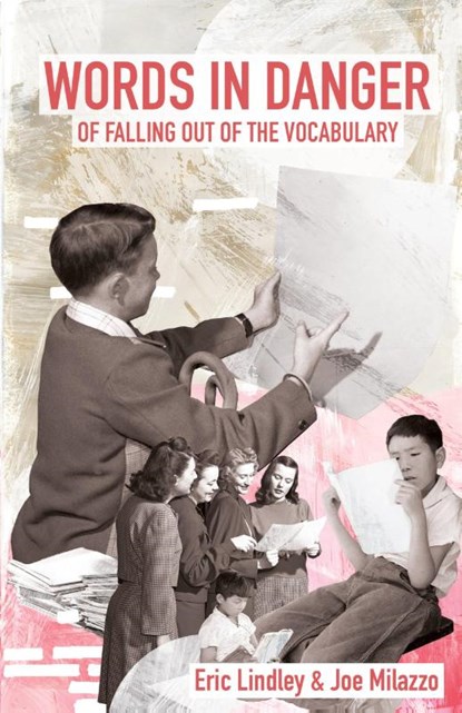 Words in Danger of Falling out of the Vocabulary, Eric Lindley ; Joe Milazzo - Paperback - 9780913123423