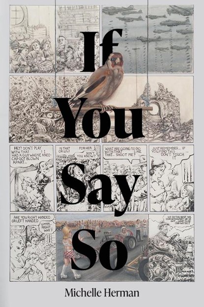 If You Say So, Michelle Herman - Paperback - 9780913123508