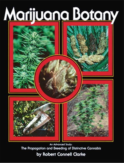 Marijuana Botany, Robert Connell Clarke - Paperback - 9780914171782