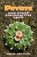 Peyote and Other Psychoactive Cacti, Adam Gottlieb - Paperback - 9780914171959