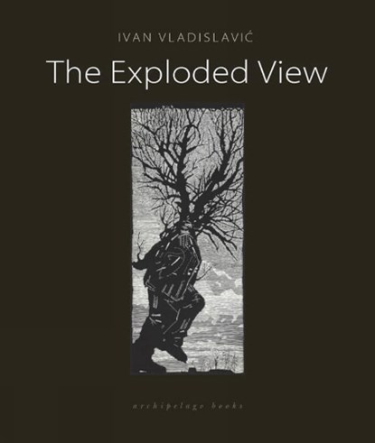 The Exploded View, Ivan Vladislavic - Paperback - 9780914671688