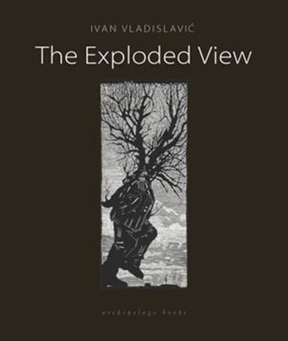 The Exploded View, Ivan Vladislavic - Ebook - 9780914671695