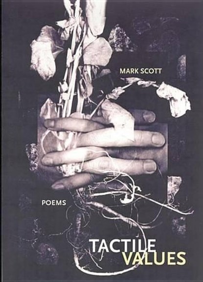 Tactile Values, Mark Scott - Paperback - 9780932826916