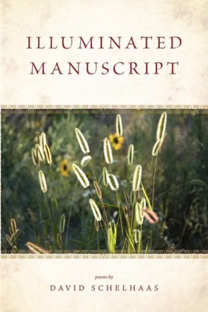Illuminated Manuscript, David Schelhaas - Paperback - 9780932914958