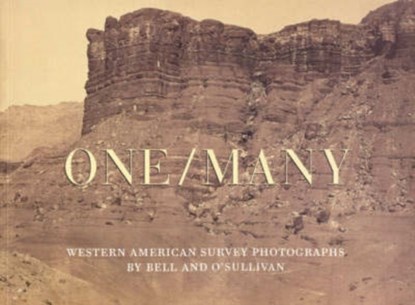One/Many, Joel Snyder - Paperback - 9780935573435