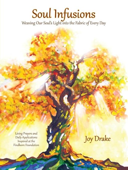 Soul Infusions, Joy Drake - Paperback - 9780936878690