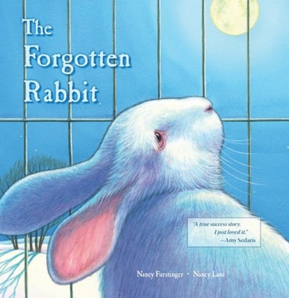 The Forgotten Rabbit, Nancy Furstinger - Gebonden - 9780940719194