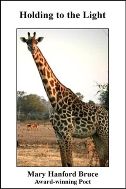 Holding to the Light, Mary Hanford Bruce - Ebook - 9780943247915