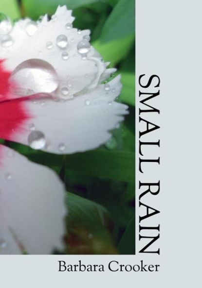 Small Rain, Barbara Crooker - Paperback - 9780944048634