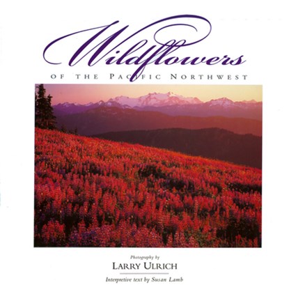 Wildflowers of the Pacific Northwest, Susan Lamb - Gebonden - 9780944197585