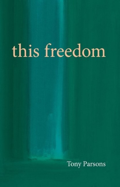 This Freedom, Tony Parsons - Paperback - 9780953303243
