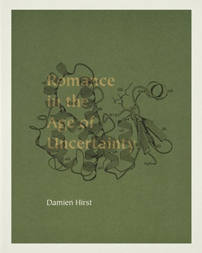 Damien Hirst, niet bekend - Paperback - 9780954236373