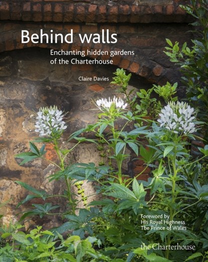 Behind walls, Claire Davies - Gebonden - 9780954812270