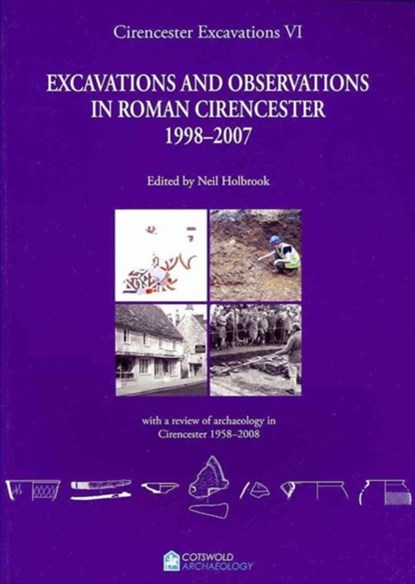 Cirencester Excavations VI, Neil Holbrook - Paperback - 9780955353420
