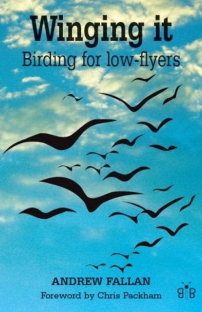 Winging it, Andrew Fallan - Paperback - 9780955392856