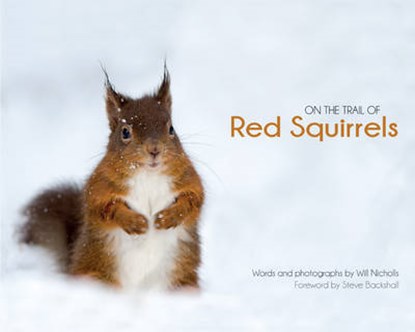 On the Trail of Red Squirrels, Will Nicholls - Gebonden - 9780955939525