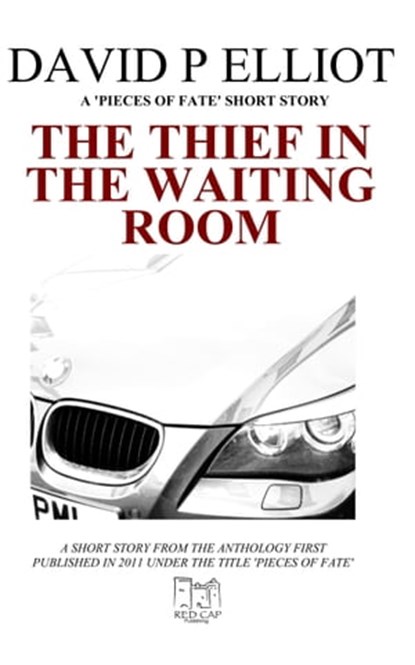 The Thief in the Waiting Room, David P Elliot - Ebook - 9780956885739