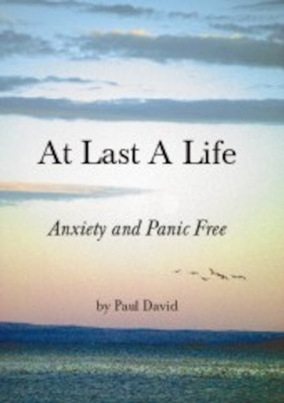 At Last a Life, Paul David - Paperback - 9780956948106