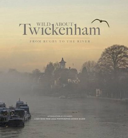 Wild About Twickenham, Andrew Wilson ; Ed Harris - Gebonden - 9780957044791