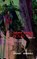 Louis XXX, Georges Bataille - Paperback - 9780957121355