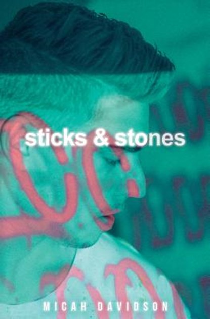 Sticks and Stones, Micah Davidson - Paperback - 9780960063901