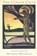 The Coyote Cycle, MEDNICK,  Murray - Paperback - 9780963012616