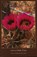 Wire Song, TODD,  Mark - Paperback - 9780965715980