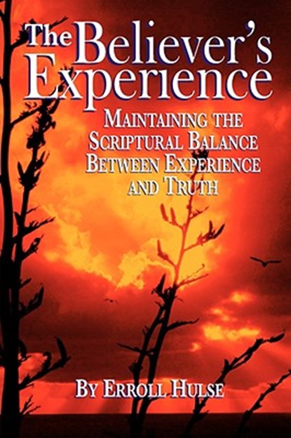 The Believer's Experience, Erroll Hulse - Paperback - 9780974236599