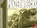 Panzerwrecks 1, Lee Archer ; William Auerbach - Paperback - 9780975418307