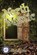 North Mystic, EVANS,  M J - Paperback - 9780976616887