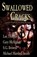 Swallowed By The Cracks, Gary McMahon ; S G Browne ; Michael Marshall Smith - Paperback - 9780977968664