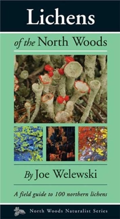 Lichens of the North Woods, Joe Walewski - Paperback - 9780979200601