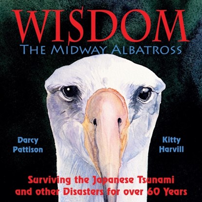 The Midway Albatross Wisdom, Darcy Pattison - Paperback - 9780979862175