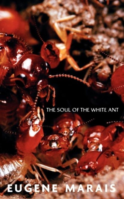 The Soul of the White Ant, Eugene N Marais - Paperback - 9780980297652