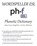 Wordspeller ESL Phonetic Dictionary, FRANK,  Diane M - Paperback - 9780983038153