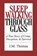 Sleepwalking Through Glass, J M Thomas - Paperback - 9780983153917