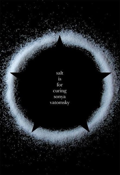 Salt Is For Curing, Sonya Vatomsky - Paperback - 9780983243731