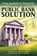 The Public Bank Solution, Ellen Hodgson Brown - Paperback - 9780983330868