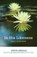 In His Likeness, Mark Steven Orsillo - Paperback - 9780984170920