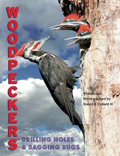 Woodpeckers: Drilling Holes and Bagging Bugs, Sneed B. Collard III - Gebonden - 9780984446094