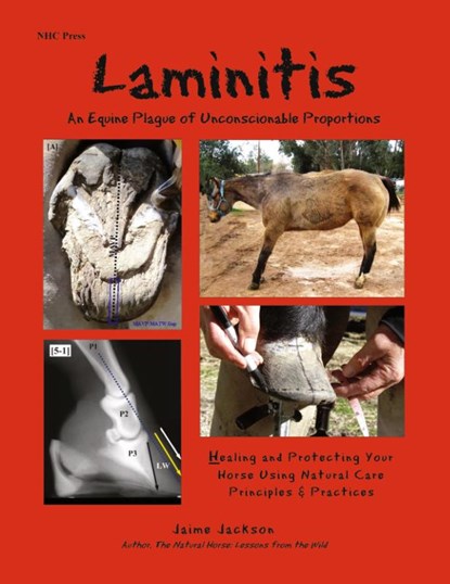 Laminitis: An Equine Plague of Unconscionable Proportions, Jaime Jackson - Paperback - 9780984839933