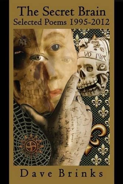 The Secret Brain, BRINKS,  Dave - Paperback - 9780985612214